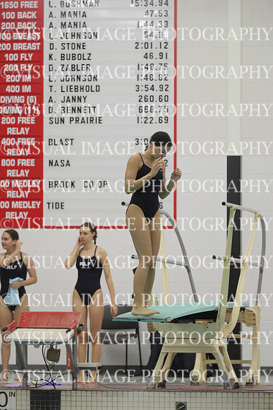 WISWG22_DIVE_2016