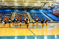 BMC26_OPENPOM_07018