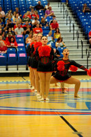 BMC26_OPENPOM_04009
