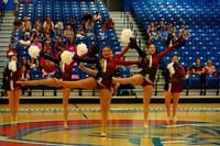 BMC26_OPENPOM_11014