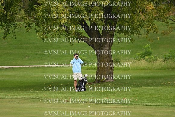 ILGF_26_T101005