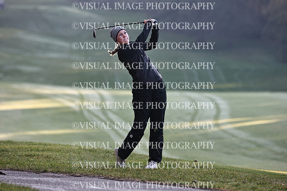 WIGFG_22_IND029