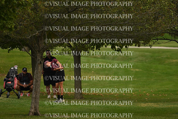 ILGF_26_IND10006