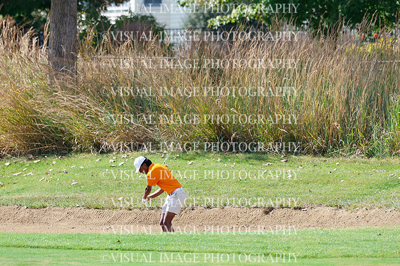 ILGF_26_T308012