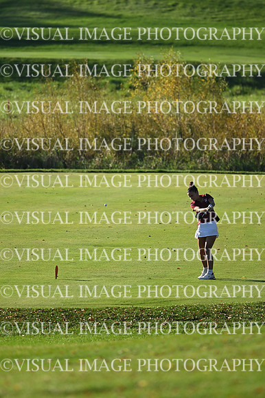 WIGFG_26_T112008