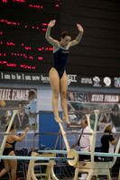 ILSWG15_DIVE_F008
