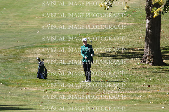 ILGF_24_T202012