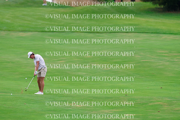 ILGF_26_IND30010