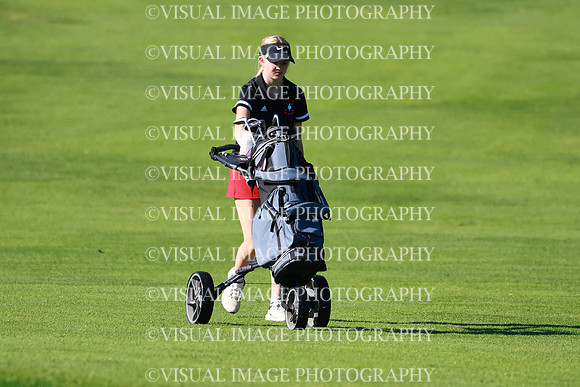 WIGFG_26_T201001