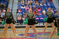 BMC26_OPENPOM_12017