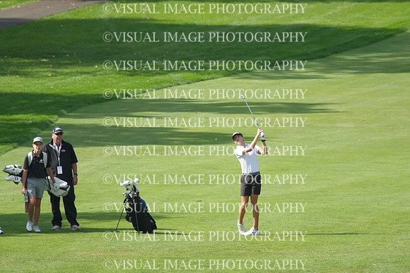 ILGF_26_IND20008