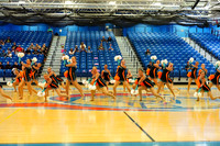 BMC26_OPENPOM_18006
