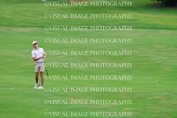 ILGF_26_IND30021