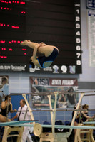 ILSWG15_DIVE_F011