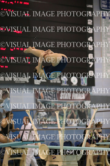 ILSWG15_DIVE_F011