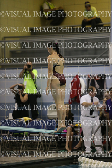 ILSWG15_DIVE_F001