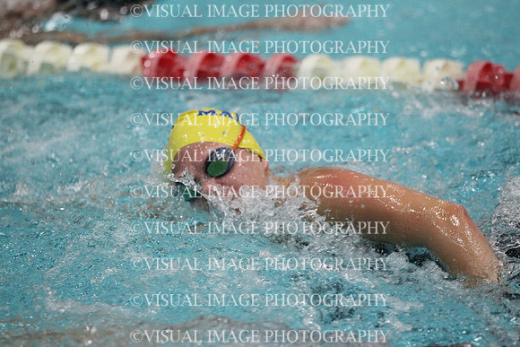 WISWG_15_S1002