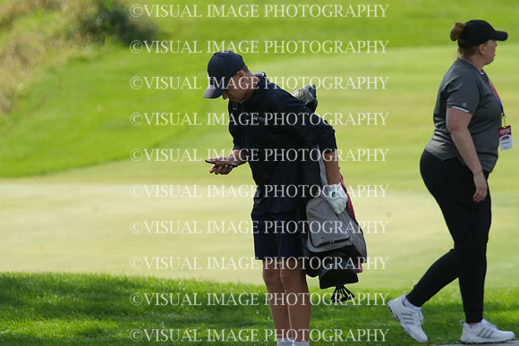 ILGF_26_T201011