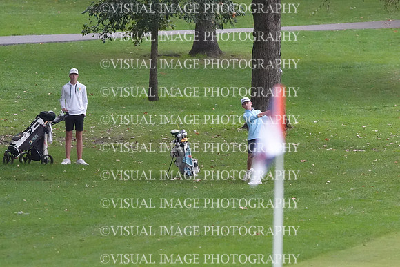 ILGF_26_T202005