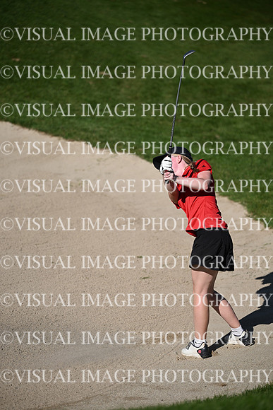 WIGFG_26_T104010