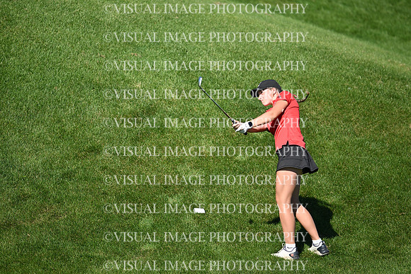 WIGFG_26_T104031