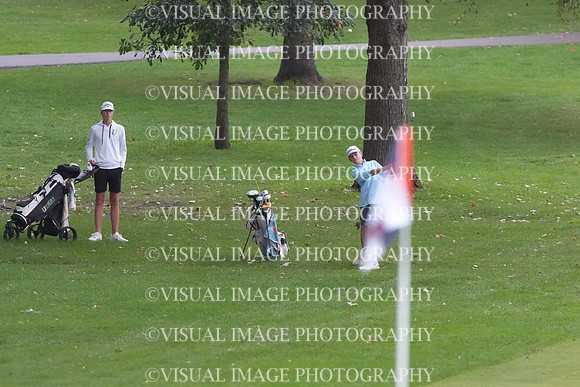 ILGF_26_T202004