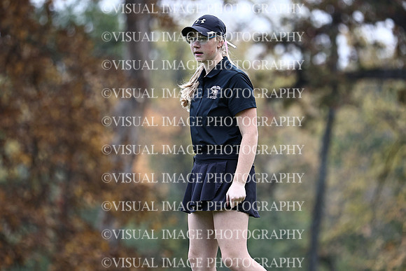 WIGFG_22_T17032