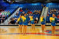 BMC26_OPENPOM_14017