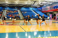 BMC26_OPENPOM_08009