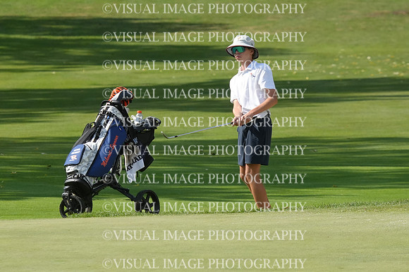 ILGF_26_T206029