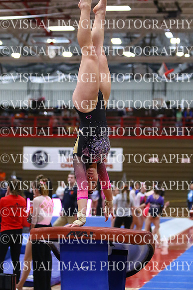 WIGYMG25_VAULT_I006