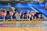 BMC26_OPENPOM_01016