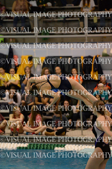 ILSWG15_DIVE_F026