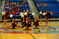 BMC26_OPENPOM_11015