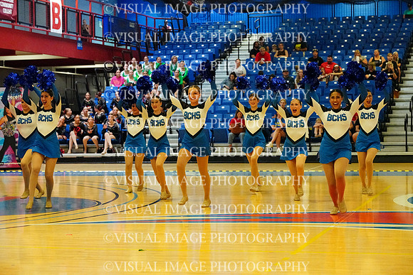 BMC26_OPENPOM_17013