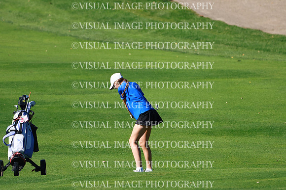 WIGFG_26_T206017