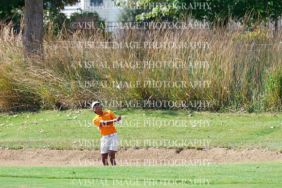 ILGF_26_T308017