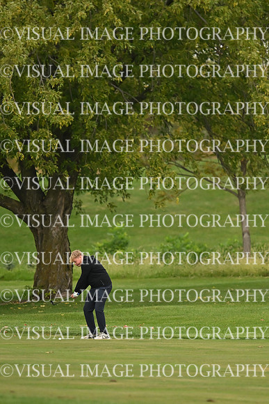 ILGF_26_T108012