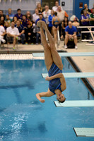 Diving