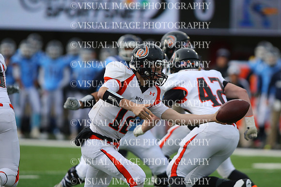 ILFB_15_50035