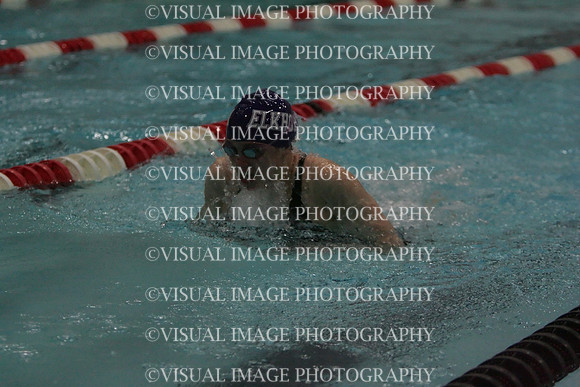 wiswg09_1breast_2041