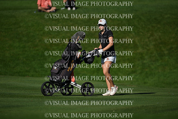 WIGFG_26_T108022