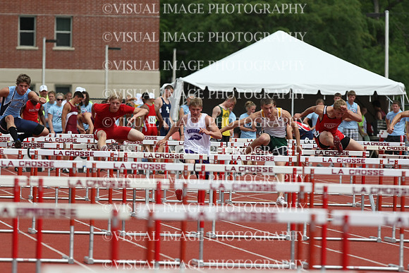 witk10_110h_f2006