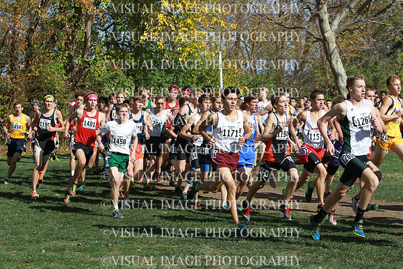 ILXC_15_20029