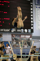 ILSWG15_DIVE_F012