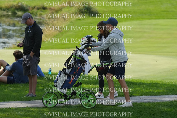 ILGF_26_T206018