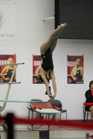 WISWG22_DIVE_2004