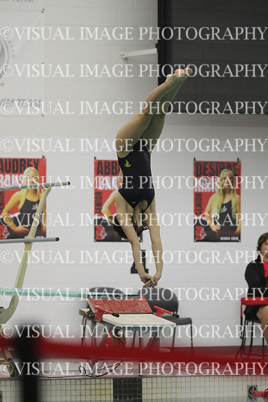 WISWG22_DIVE_2004