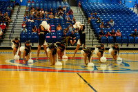 BMC26_OPENPOM_10006