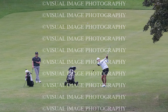 ILGF_26_T207004